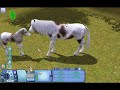 IA4knDG0iBQ