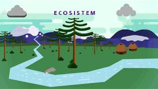 ¿Qué es la biodiversidad?