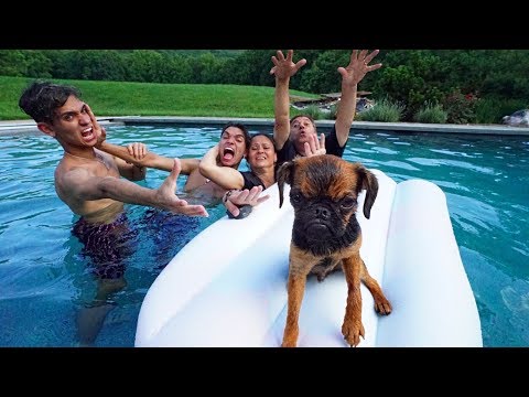 FIRST TO SAVE PUPPY WINS $10,000!