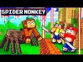 SPIDER MONKEY vs The Most Secure House In Minecraft!