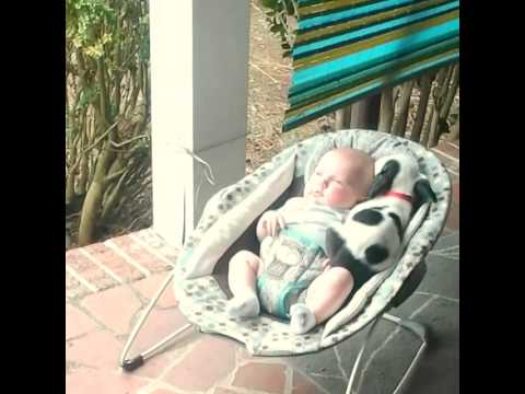子犬と赤ちゃんに癒やされることまちがいなし