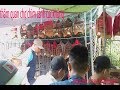 Chợ Chim Cảnh Siêu Độc Có Một không Hai-quỳnh mai channel