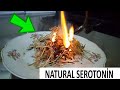 Burning the harmal - Traditional way (Natural serotonin)