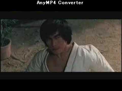 Bruce Lee- Game Of Death 2 2011