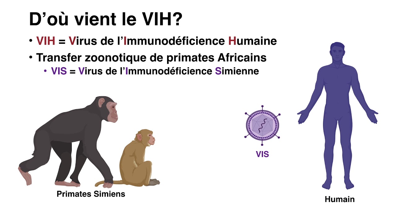 Épisode 1 - Un monde de virus: Introduction et origines