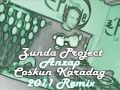 Zunda Project - Anzap (Coskun Karadag 2011 Remix)