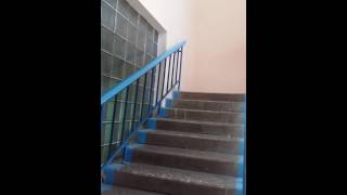 Видео Гимназия 95 ростов на дону от Екатерина Шевцова, улица Шевцовой, Ростов-на-Дону, Россия