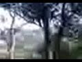 image Hantu Seram Kuntilanak Di Siang Hari