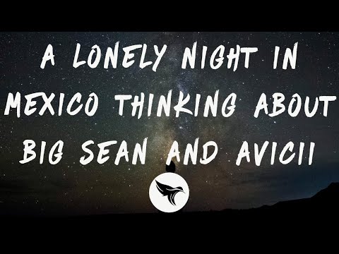 Mike Posner - A Lonely Night In Mexico Thinking About Big Sean and Avicii (Lyrics)