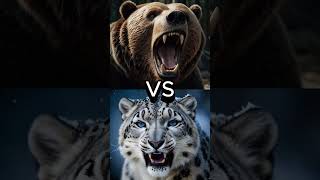 Epic Animal Battles Clash Of The Fiercest Giants