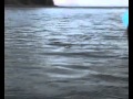 Meerforellen Angeln Rügen