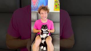 Are Cats Better Than Dogs?! 😱 - #Shorts