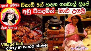 Tasty Fish curry in wood stove by Apé Amma