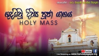 Morning Holy Mass -  29-04-2020