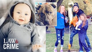 Pit Bull Kills Baby By Ripping Open Skull, Parents Charged