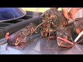 How to Cook and Eat a Lobster HD