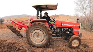 Mey Ferguson 265 Suzel 3Lü Otomatik Pullukla Tarla Sürme