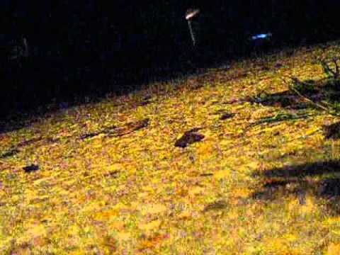 Walk the Streets Alone Video