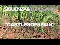 Artyom Dervoed: "Castles of Spain", Siguenza & Turegano - Federico Moreno Torroba