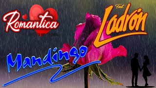 Música Romántica Con Mandingo Y Ladrón Éxitos Inolvidables