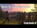 Best Growing Crops on Farming Simulator 17 per Hectare (Ha) 2017