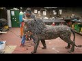 Leon hecho con chatarra/ Lion made with junk- Joaquin Arbiza