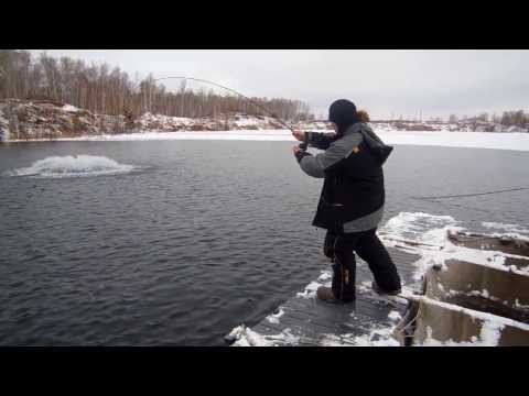 прогноз клева рыбы в калач-на-дону на неделю прогноз клева рыбы на калач-на-дону получи и распишись неделю
