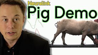 Neuralink Live Pig Demo by Elon Musk (2020) |  Neuralink Demo in 7 minutes