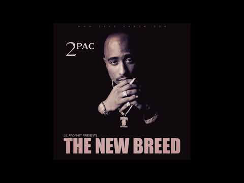 2Pac & Daft Punk - Game of Love (Lil' Prophet Remix)