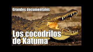 Grandes Doentales - Cazadores Creativos El Coliseo
