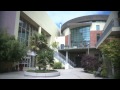 sfspca
