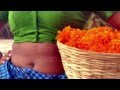 ansiba hassan navel