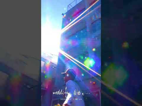 WEDDING CIRCUS SHORT MOVIE【DANCE 06】