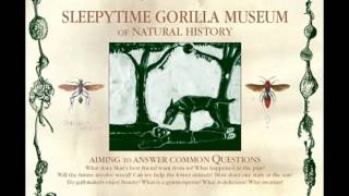 Watch Sleepytime Gorilla Museum What Shall We Do Without Us video