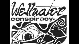 Watch Wellwater Conspiracy You Do You video