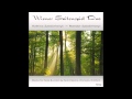 Damase: Sonata for violin & harp, 1st movement