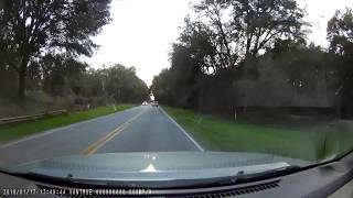 Dog's close call