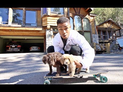 Skating With Two Puppies