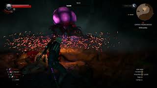 Witcher 3 The Arachas With Low Level Character