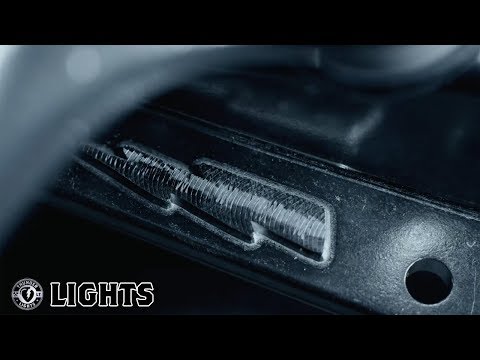 Thunder Trucks : Lights