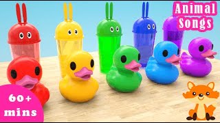 Five Little Ducks & Tiranosaurio Rex| Ducks And Colorful Cups| English Songs for Kids 🦈