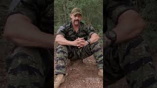 Who Is Dale Comstock?