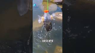 Jebakan Ikan Dari Botol Bekas.
