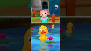 Are You Sleeping? Farm Animals Songs - #Shorts #Chuchutv #Nurseryrhymes #Kidssongs #Animalsongs