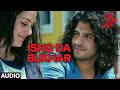 Ishq Da Bukhar Full Audio Song | Mad About Dance