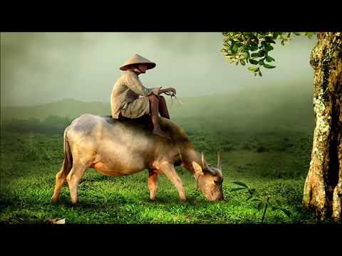 Watching video Nhạc Thư Giãn Dễ Ngủ Với Tiếng Sáo Trúc, Đàn Tranh Nhạc Quê Hương Hay Nhất 2018