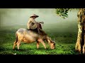 Watching video Nhạc Thư Giãn Dễ Ngủ Với Tiếng Sáo Trúc, Đàn Tranh Nhạc Quê Hương Hay Nhất 2018