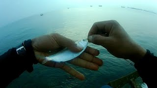 Tak Ada Yang Di Casting...??? Mancing Kotrek Solusinya.