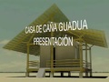 guadua