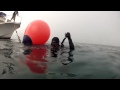 Clint Walker at  Ruby Wreck and New Hope Rock Dives  9 22  2012